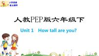 英语六年级下册Unit 1 How tall are you? Part B课文课件ppt