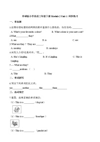 外研版 (三年级起点)三年级下册Unit 1 They are monkeys.课时训练