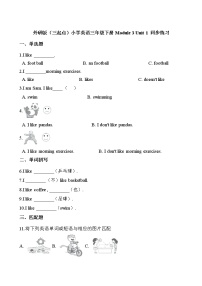 外研版 (三年级起点)三年级下册Unit 1  I like football.习题