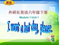 外研版 (三年级起点)六年级下册Module 1Unit 1 I want a hot dogplease.授课课件ppt