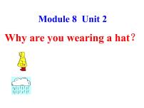 英语六年级下册Unit 2 Why are you wearing a hat?图片ppt课件