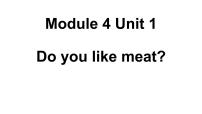 2020-2021学年Unit 1  Do you like meat?多媒体教学课件ppt
