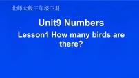 北师大版 (三年级起点)三年级下册Unit 9 Numbers多媒体教学ppt课件