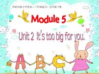 外研版 (三年级起点)五年级下册Unit 2 It's too big for you.教课ppt课件