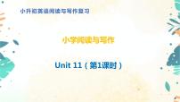 小升初英语阅读与写作 Unit11 （课件） （通用版）