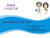 陕旅版六年级下册Unit 5 What Is He like？教学演示课件ppt