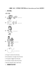 人教版（PEP）小学英语六年级下册Unit 1 How tall are you_ Part B 同步练习