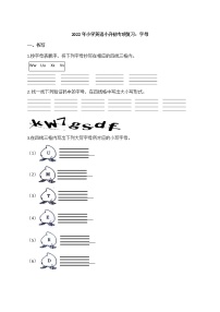 2022年小学英语小升初专项复习：字母