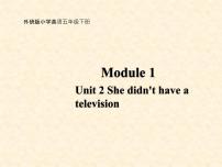 外研版 (三年级起点)五年级下册Unit 2 She didn't have a television.教案配套课件ppt