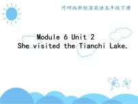 小学英语外研版 (三年级起点)五年级下册Unit 2 She visited the Tianchi Lake.集体备课ppt课件