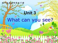 英语四年级下册Unit 3 What can you see?课文配套ppt课件