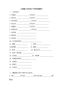 小升初词汇专项训练（试题）-2021-2022学年英语六年级下册