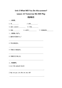 小学Lesson15 Jenny's Summer Holiday达标测试