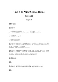 冀教版 (三年级起点)六年级下册Lesson 22 Surprise!教学设计