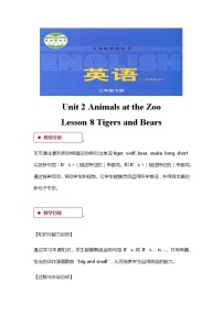 英语冀教版 (三年级起点)Lesson 8 Tigers and Bears教案