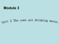 2021学年Module 3Unit 2 The cows are drinking water课堂教学课件ppt