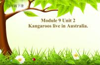 英语四年级下册Module 9Unit 2 Kangaroos live in Australia.教课内容ppt课件