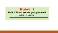 小学英语外研版 (三年级起点)六年级下册Module 2Unit 1  When are you going to eat?教案配套课件ppt