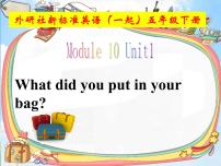 小学英语外研版 (一年级起点)五年级下册Module 10Unit 1 What did you put in your bag ?课文ppt课件