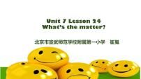 2020-2021学年Lesson 24图文课件ppt