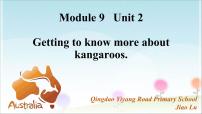 小学英语外研版 (一年级起点)四年级下册Unit 2 Kangaroos live in Australia.图片课件ppt