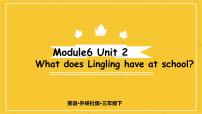 外研版 (三年级起点)三年级下册Unit 2  What does Lingling have at school?多媒体教学ppt课件