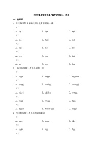 2022年小学英语小升初专项复习：语音