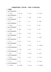 备考2022年小升初英语专题复习（语法专练）：同类词、近义词及同音词