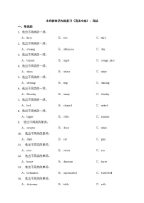 2022年小升初英语专题复习（语法专练）：词法