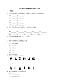 小学英语小升初专项复习：字母