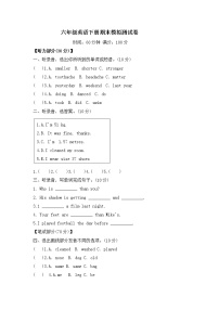 六年级英语下册期末模拟测试卷-人教PEP-含答案