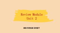 Review Module  Unit2    课件PPT