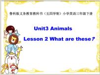 鲁科版 (五四制)三年级下册Lesson 2 What are these?说课课件ppt