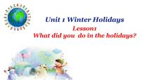 鲁科版 (五四制)五年级下册Lesson 1 What did you do in the holidays?图文ppt课件