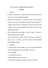 小学鲁科版 (五四制)Unit 5 Country LifeLesson 2 How many ducks do you have?教案