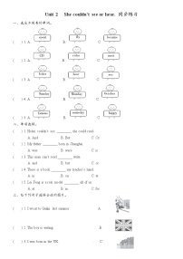外研版 (三年级起点)六年级下册Unit 2 She couldn't see or hear .课后测评