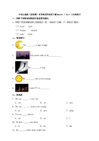 新版-牛津上海版四年级下册Unit 3 Look and see课时作业