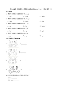 小学英语新版-牛津上海版六年级上册Module 1 Getting to know each otherUnit 2 My summer holiday同步测试题