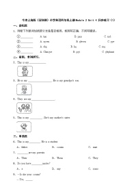 英语新版-牛津上海版Module 2 My family my friends and MeUnit 4 Do you have any cousins?课时训练