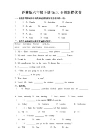 小学英语新版-牛津译林版六年级下册Unit 6 An interesting country巩固练习