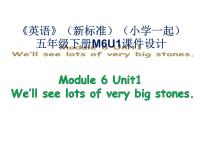 小学外研版 (一年级起点)Unit 1 We’ ll see lots of very big stones.课堂教学课件ppt