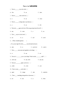 There be句型选择题（试题）-2021-2022学年英语六年级下册  通用版（有答案）