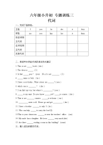 小升初英语专项训练-代词 数词 介词