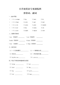 小升初英语专项训练四 形容词、副词