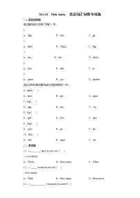 Unit6  How many ？ 语法词汇句型（试题）-2021-2022学年英语三年级下册（有答案）