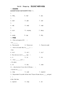 Unit6  Shopping   语法词汇句型专项练（试题）-2021-2022学年英语四年级下册（有答案）