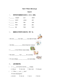 人教版 (PEP)六年级下册Unit 3 Where did you go? Part B习题