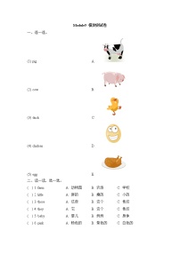 2020-2021学年Module 5模块综合与测试巩固练习