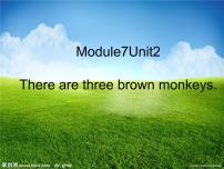 2021学年unit 2 There are three brown monkeys.教学ppt课件
