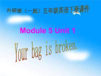 外研版 (一年级起点)五年级下册Unit 1 Your bag is broken.获奖课件ppt